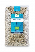 ŻYTO (ZIARNO) BIO 1 kg